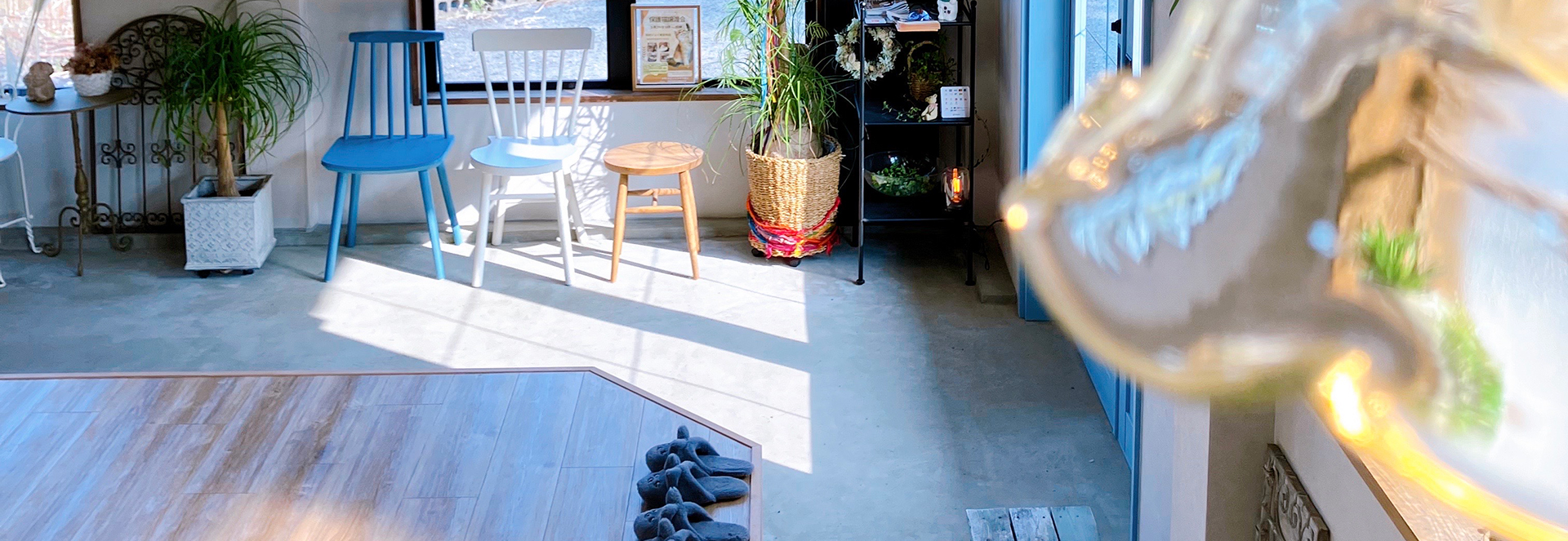 あおい動物病院