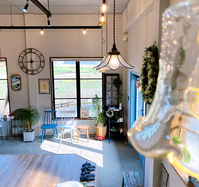 あおい動物病院